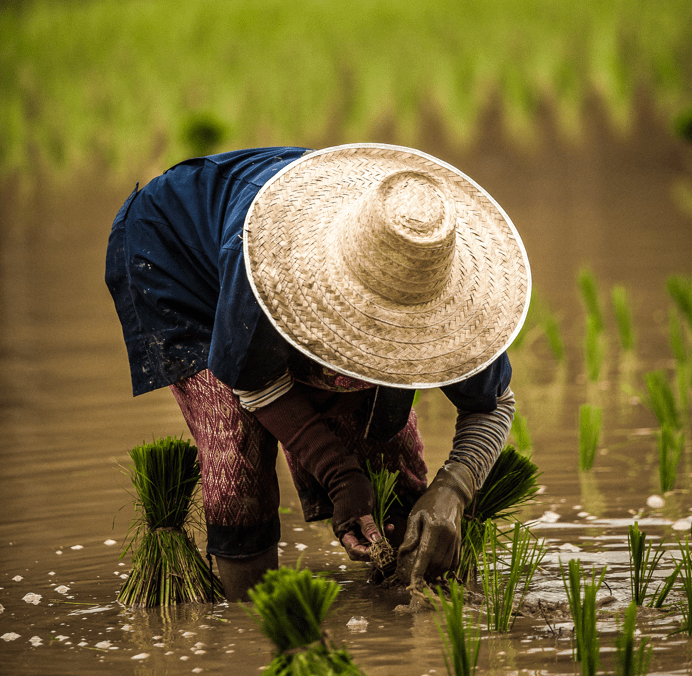 qui agit au plus près de l’agriculteur…